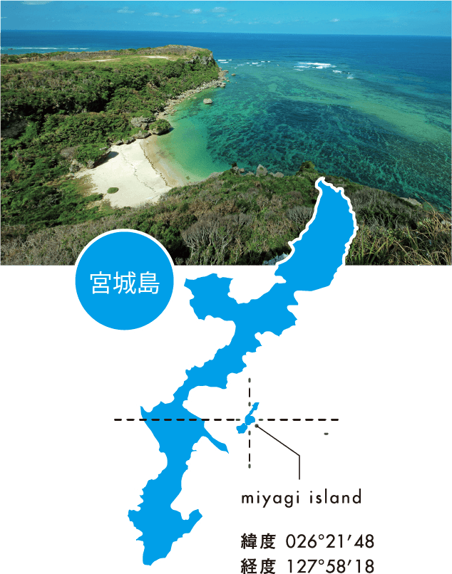 株式会社ぬちまーす｜沖縄の海のミネラルを多様に含んだ奇跡の海塩「ぬちまーす」